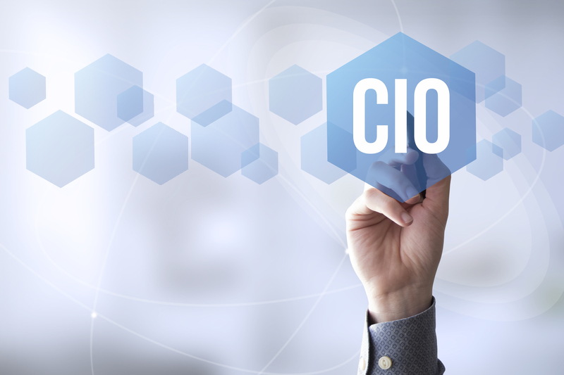 Partnering to Create Successful CIO Strategies